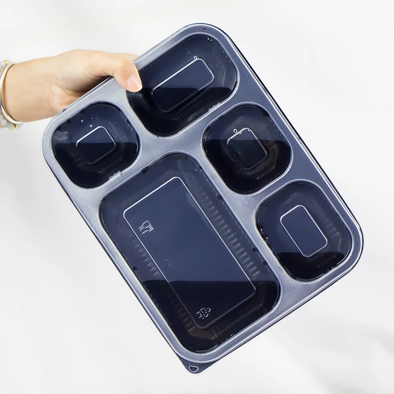 5 compartments-4