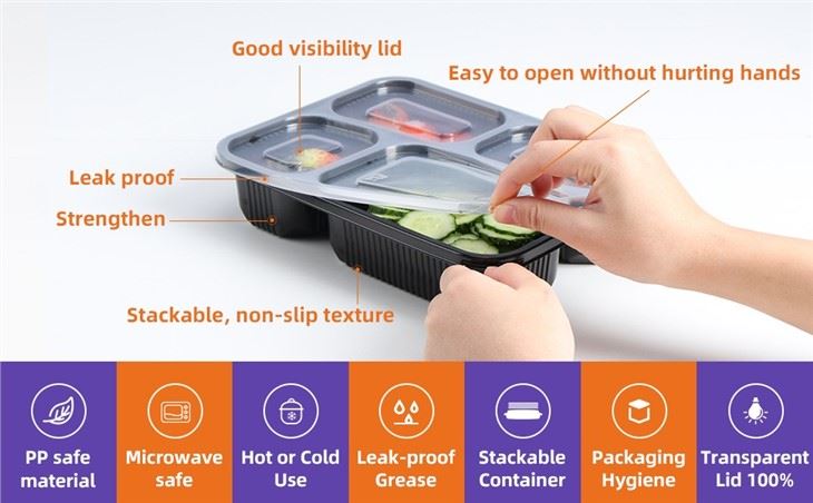 Disposable Plastic Food Box