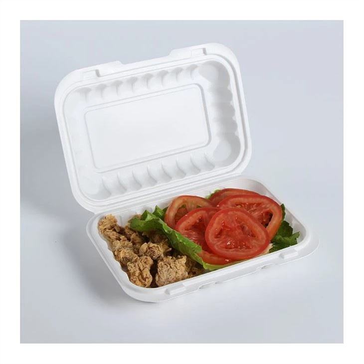 צירים Pp Clamshell