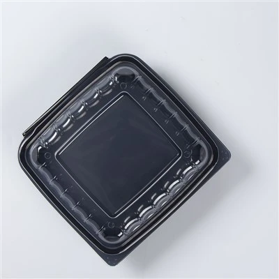 מיכל אוכל Take Away בהתאמה אישית